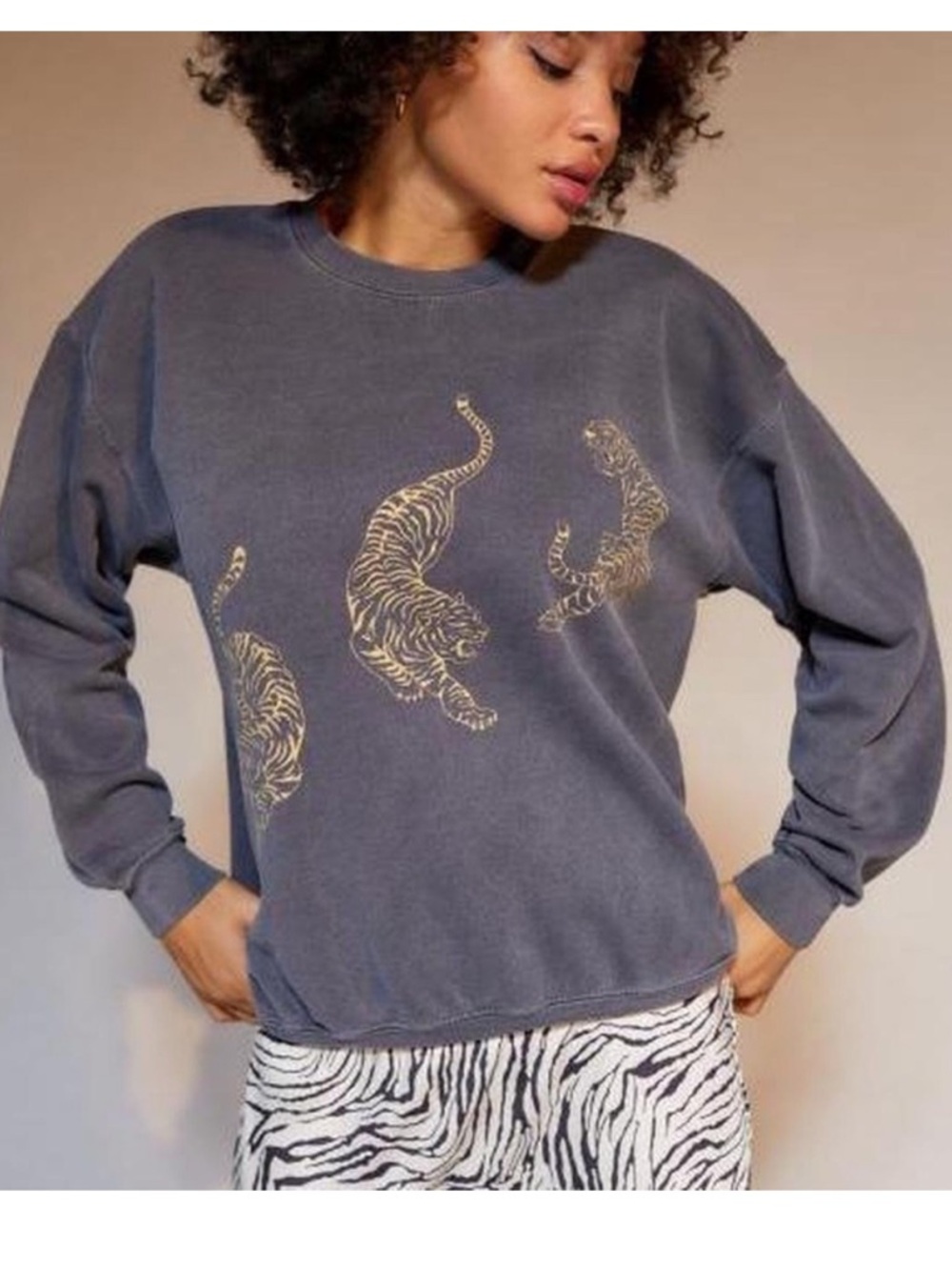 Urban Outfitters Project Social T Tiger Pullover Sweatshirt in Gray